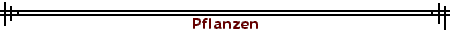 Pflanzen