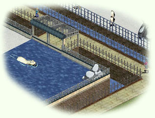 Eisb�r-Beispiel aus dem Web